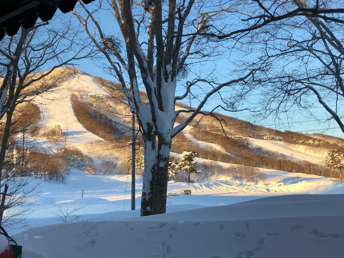 Alp Bach Madarao Villa Iiyama Luaran gambar