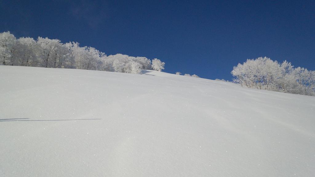 Alp Bach Madarao Villa Iiyama Luaran gambar