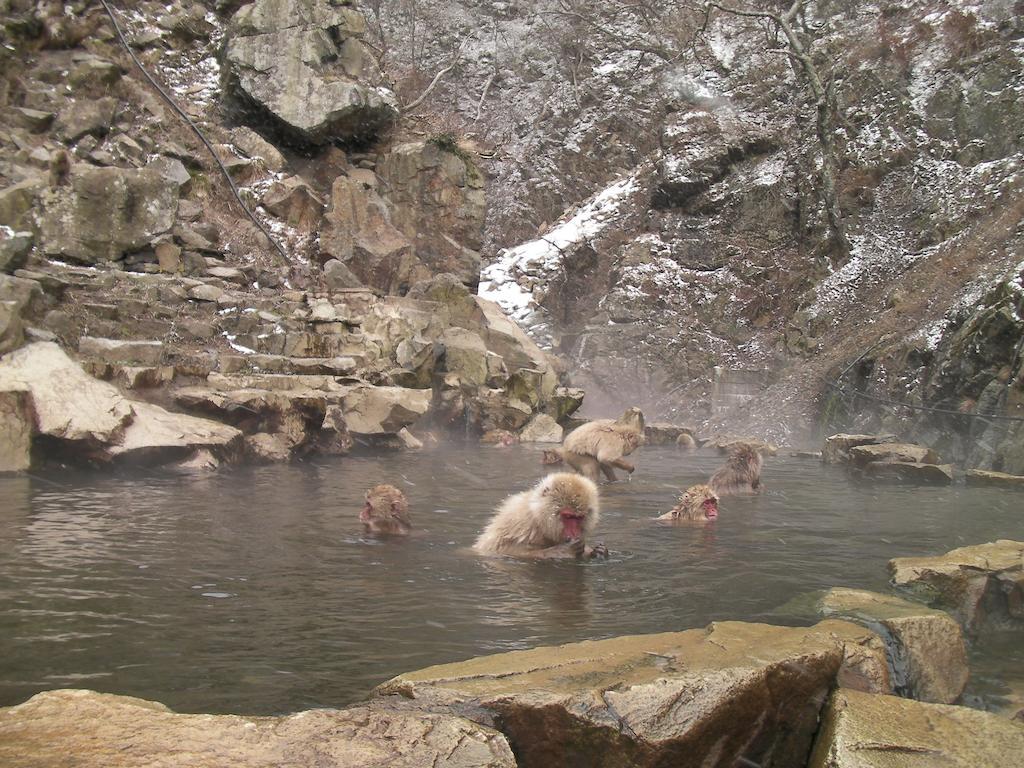 Alp Bach Madarao Villa Iiyama Luaran gambar