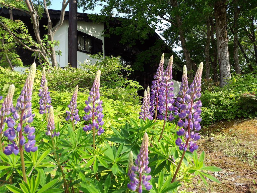 Alp Bach Madarao Villa Iiyama Luaran gambar